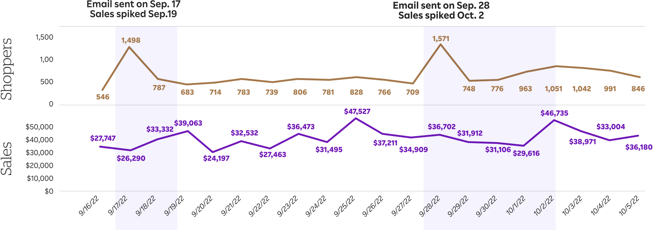 CaseStudy_Charts_Sales_Shoppers_@2x